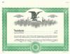 Duke #2 (Green) Stock Certificate for Profit Corporation