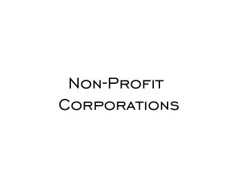 Non-Profit Minutes and Bylaws