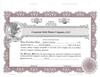 20 Custom StockSmith Certificates with Shares for LLC