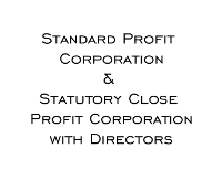 Minutes and Bylaws for a Standard Profit Corporation